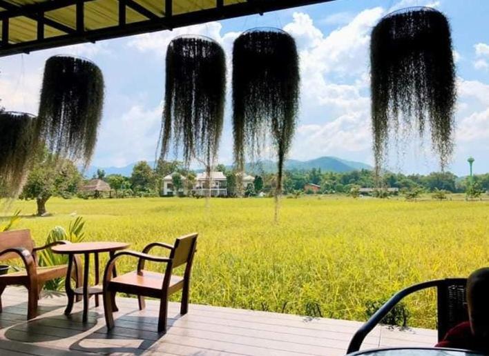 Oon Valley Farm Stay San Kamphaeng Екстер'єр фото